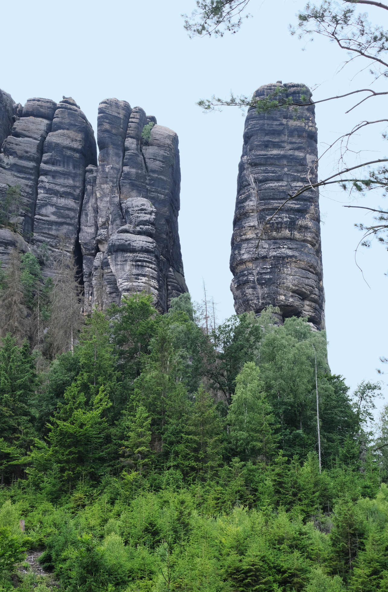 Bloßstock in den Affensteinen