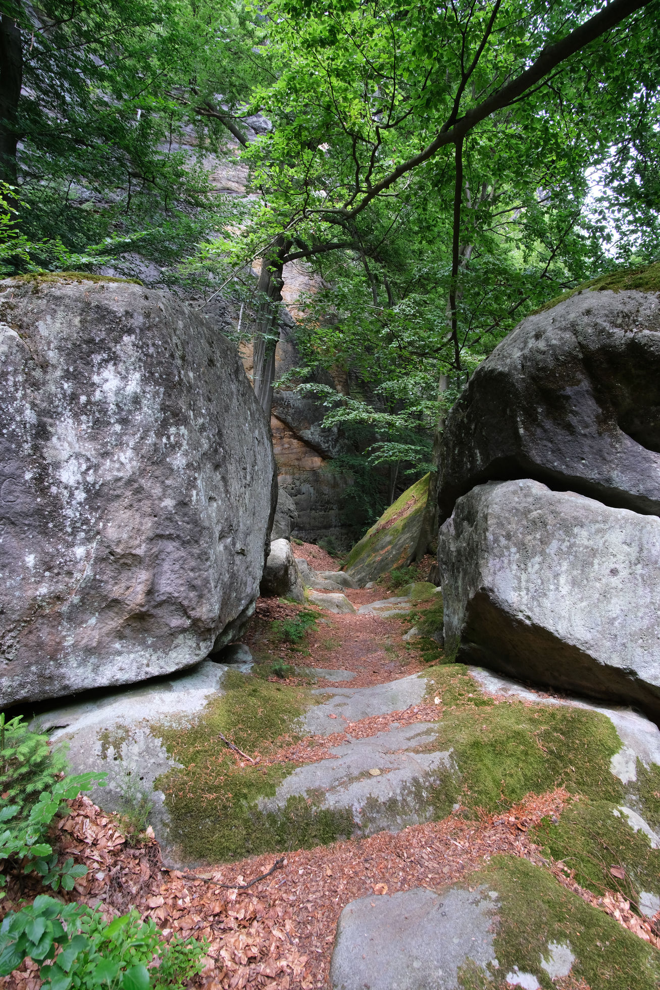 Noch eine Stunde zum Winterstein ...