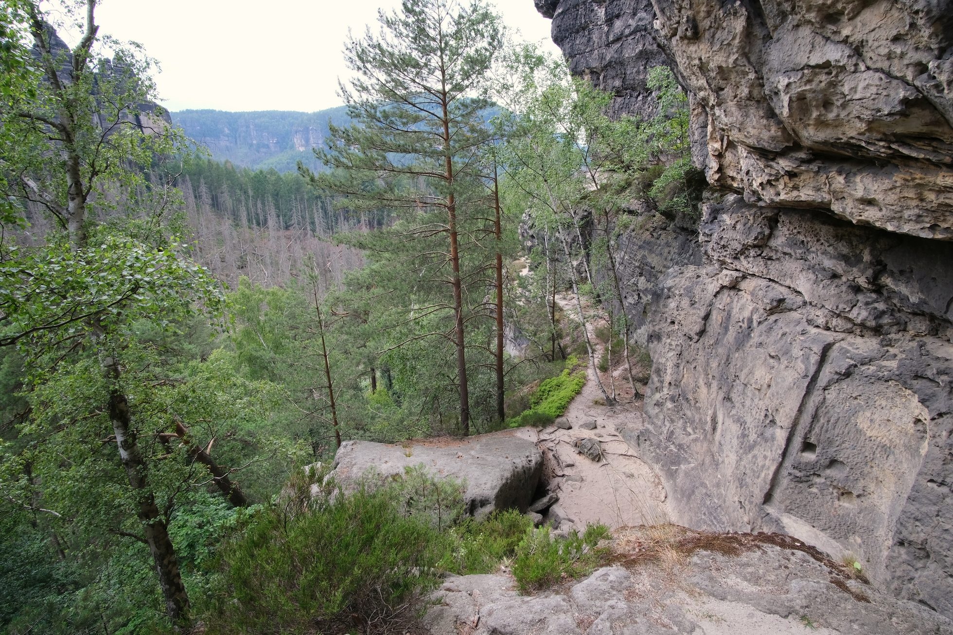 Untere Terasse