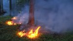 Großbrand in böhmisch - sächsichen Schweiz. Katastrophenfall in der Region Bad Schandau Großbrand in böhmisch - sächsichen Schweiz. Katastrophenfall in der Region Bad Schandau