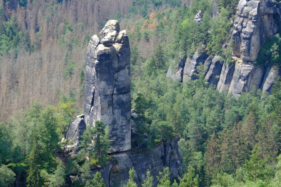 Domwächter