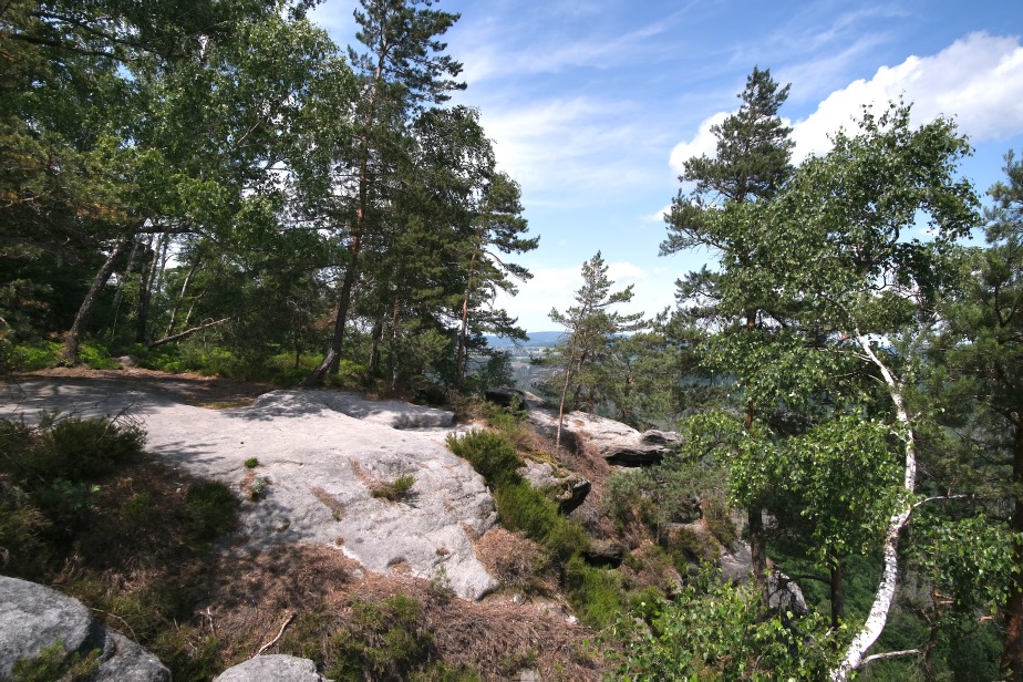 Oben auf dem Kleinen Winterberg