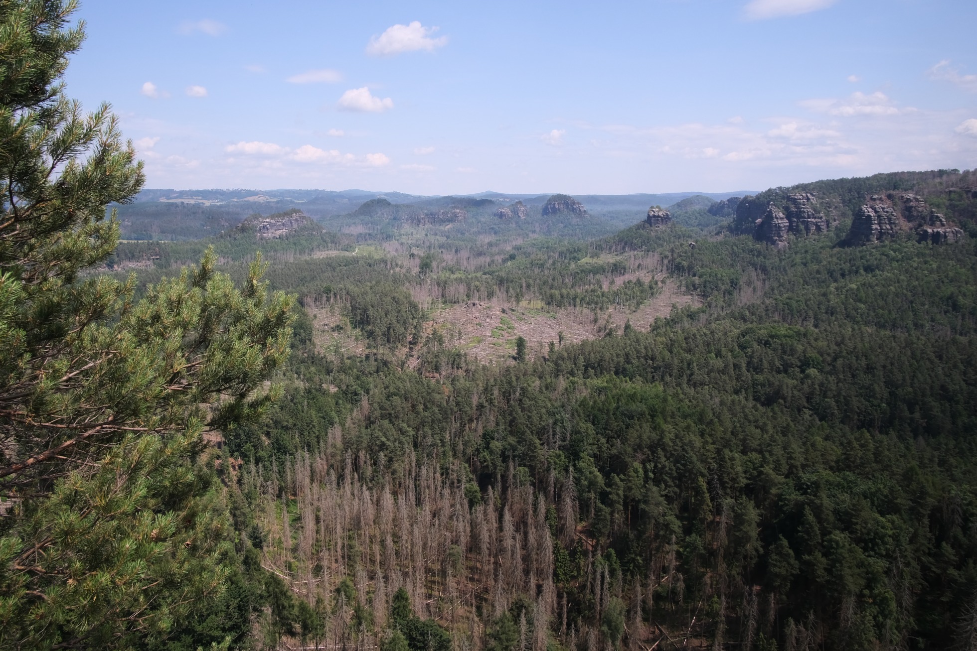 Blick vom Kleinen Winterberg