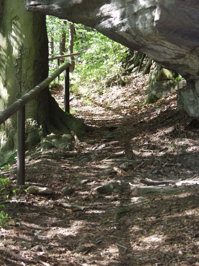 Waldweg nach Janov