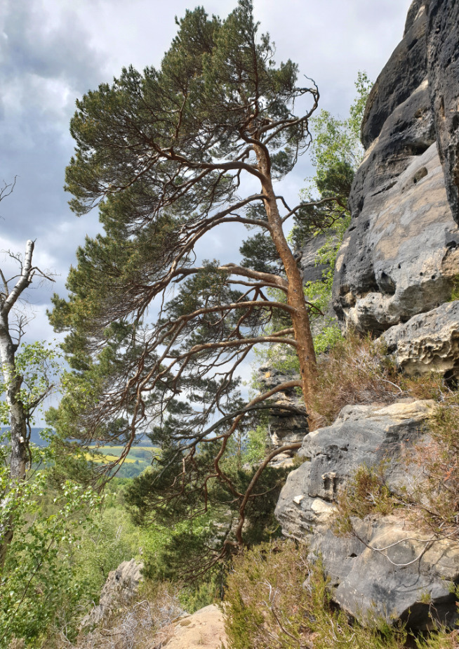 Mittlere Ebene auf dem Rauschenstein