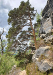 Mittlere Ebene auf dem Rauschenstein