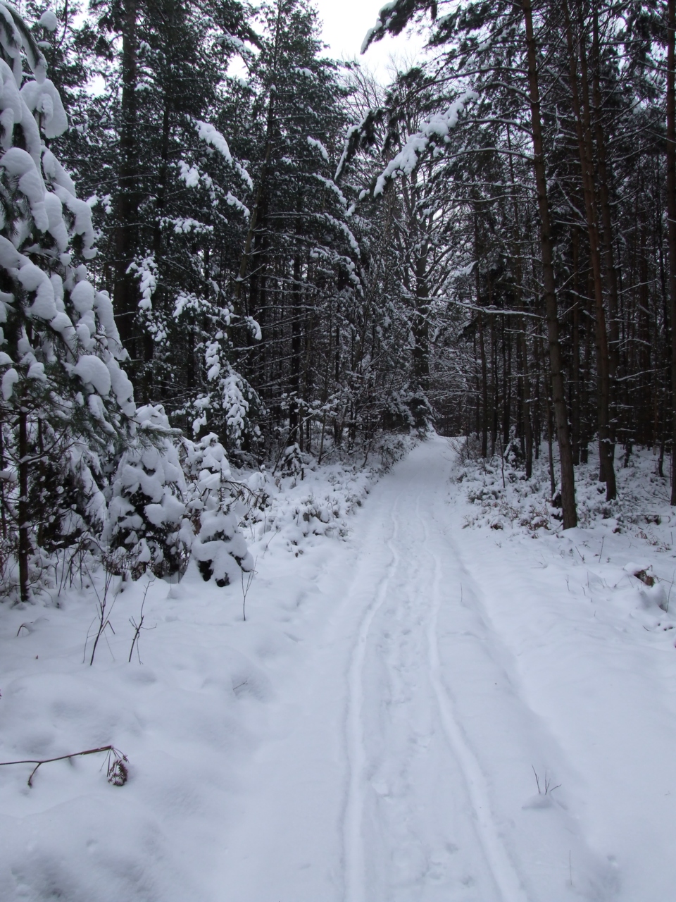 Wanderweg