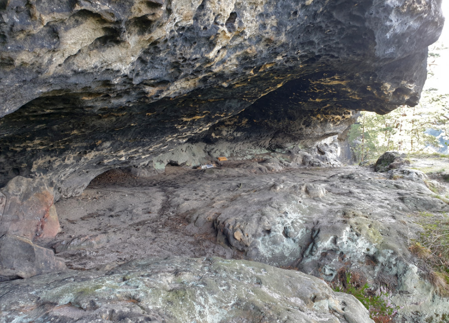Siebenschläfer Boofe