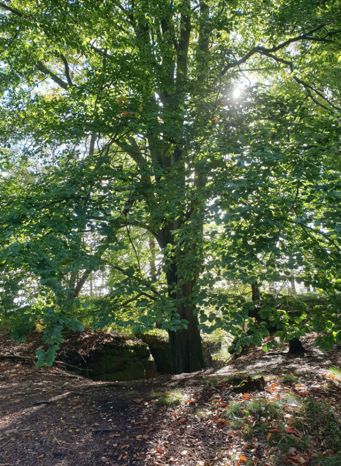 Ziel aus Richtung Fluchtwand / Dorn