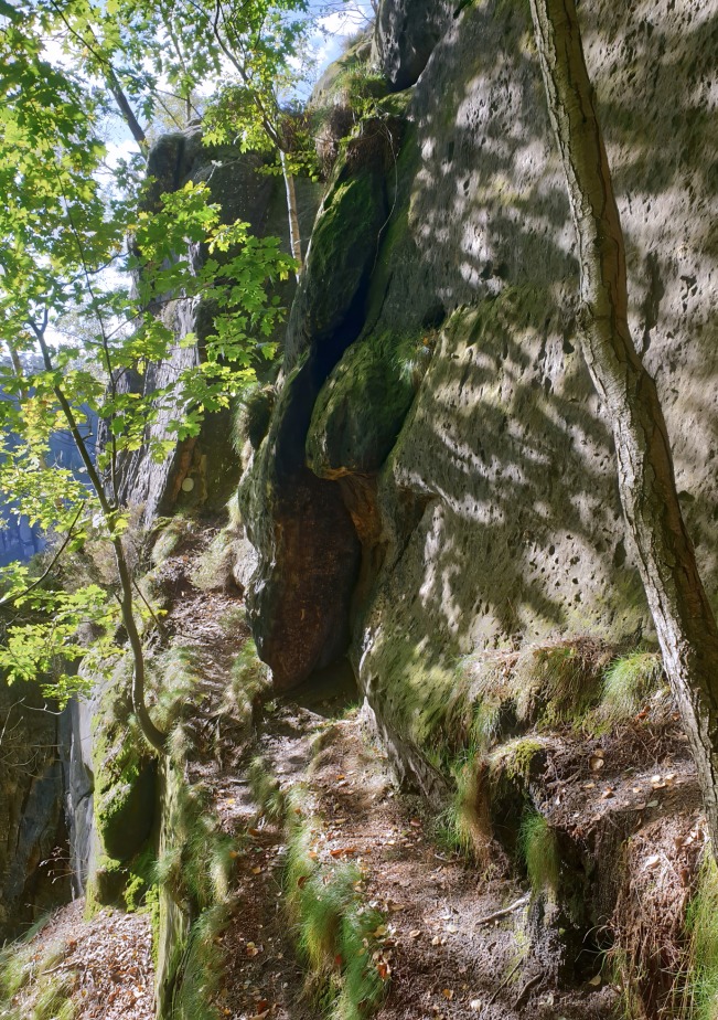 Zustiegsweg zum Dorn