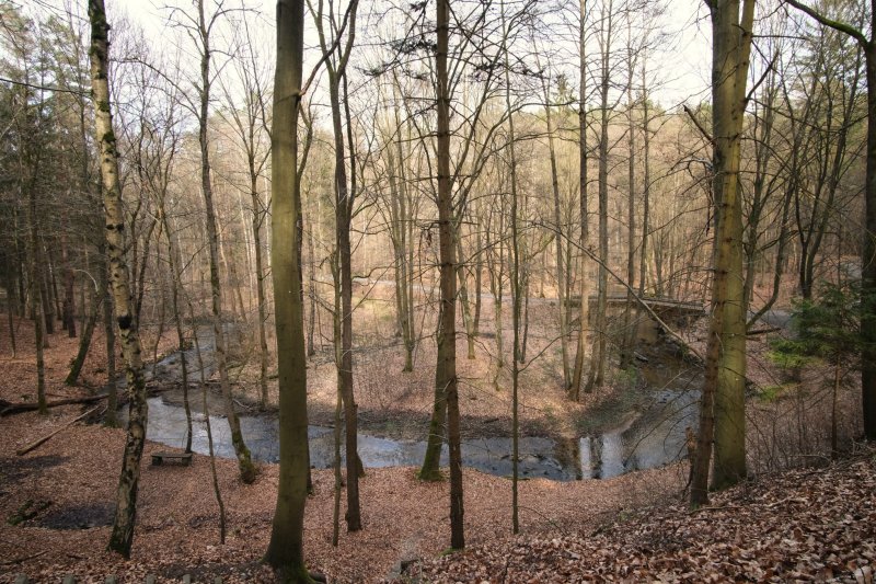 Blick auf die Prießnitz von Ludens Ruh